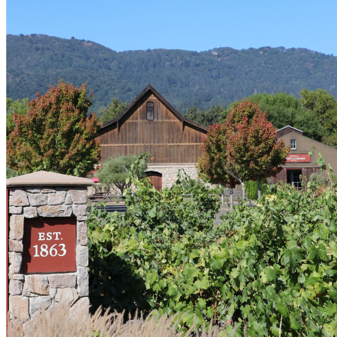 ValleyoftheMoon's tweet photo. In 1863 pioneering vintner George Whitman planted the first grapes and built a winery on the 60 acre estate that would eventually become known as Valley of the Moon. Though many years have passed high quality winemaking practices remain. Swing by for a taste of history. https://t.co/tBPUvQQtWz