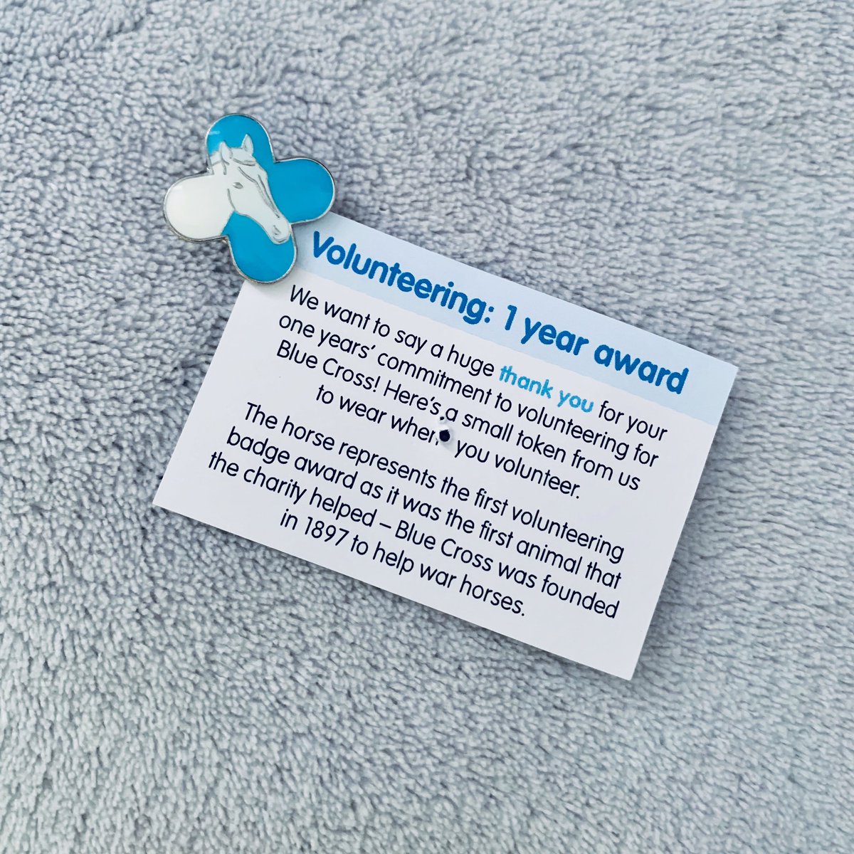 CarinaGlover's tweet photo. Now my first #BlueCrossWeek is over Iβm even more proud to be part of such a great animal charity. For a small team here in Sheffield weβve raised a huge amount of money for @The_Blue_Cross π
#BlueCross #BlueCrossSheffield #BlueCrossForPets #Volunteering #1YearAward #Sheffield https://t.co/rHKeb79Mmj
