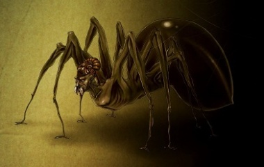 LE_Mythologie's tweet photo. Thanks for all your votes 😀for #aMythForSunday
Anansi is an african trickster god and appears as a spider. According to the #myths he has created the first humans. He's also mentioned as creator of the sun, moon and stars and inventor of night and day. #folklore #mythology https://t.co/oNPwFMYLah