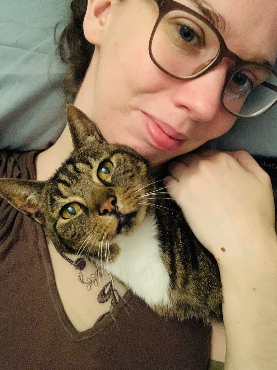 Everybody deserves a cat in his/here life.