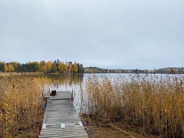 walokra's tweet photo. Saimaalla on vesi alhaalla 🌊
#saimaa #saimaanharju #omaranta https://t.co/J25WYa7hci https://t.co/PieLYD01hs