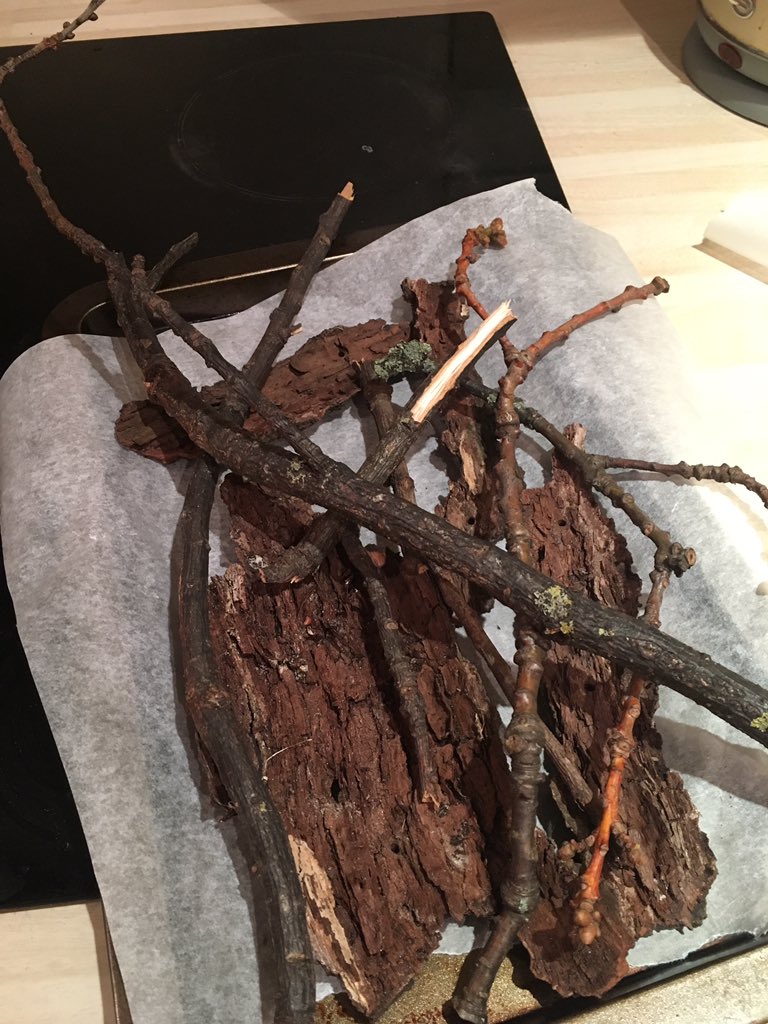 E_Drinkwater's tweet image. -Whatcha doing ?
- Er just baking sticks .. for my beetle #biologistproblems #GreatBritishBakeOff