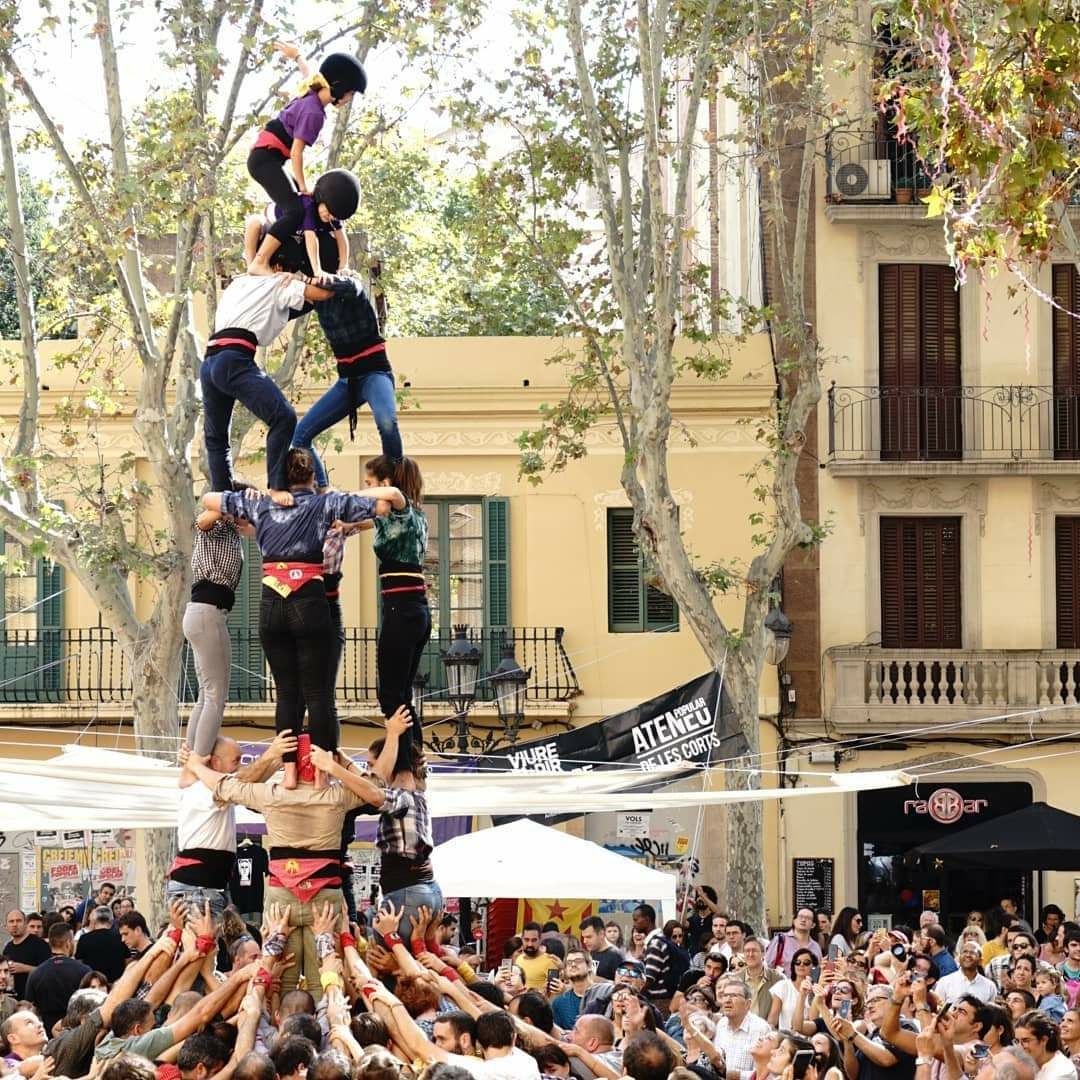 Panarres Les Corts tweet media