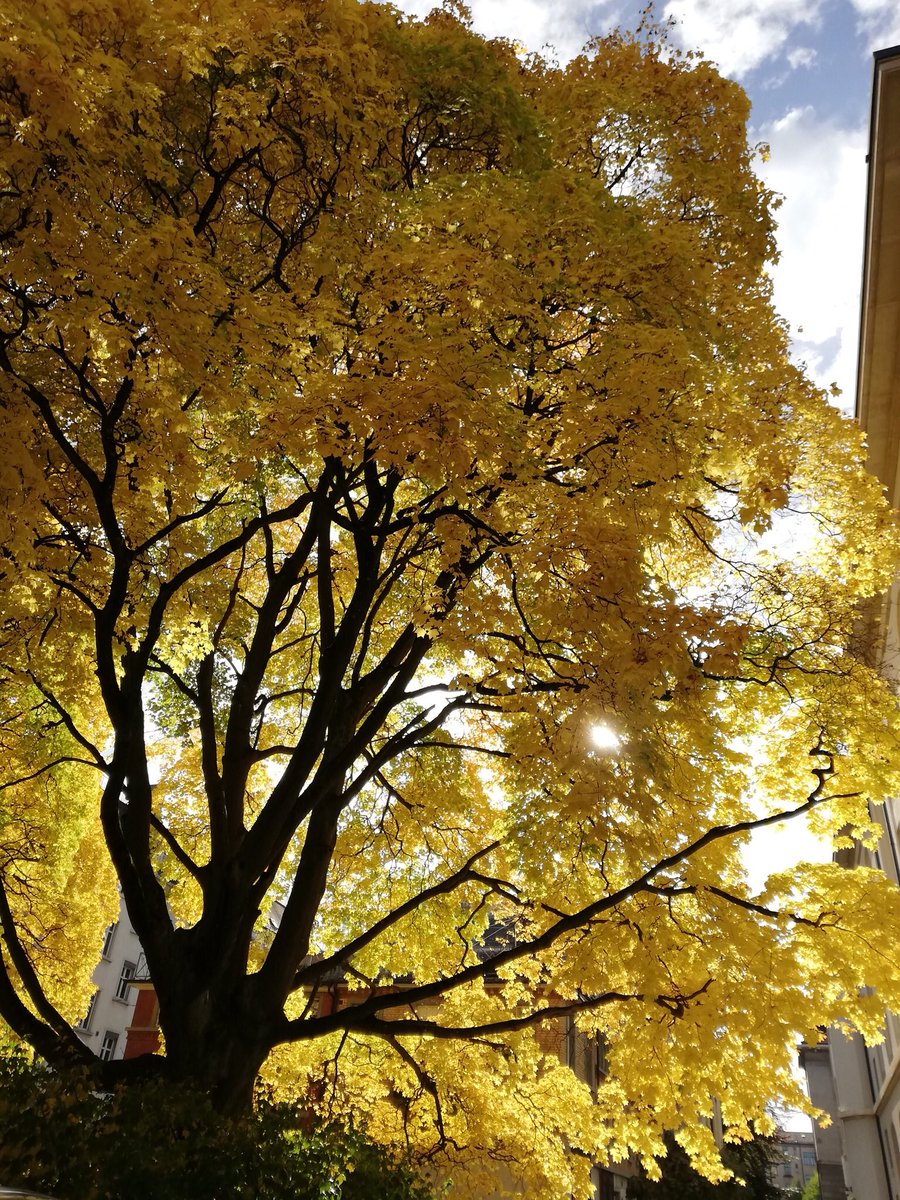 hmuellerschnegg tweet media