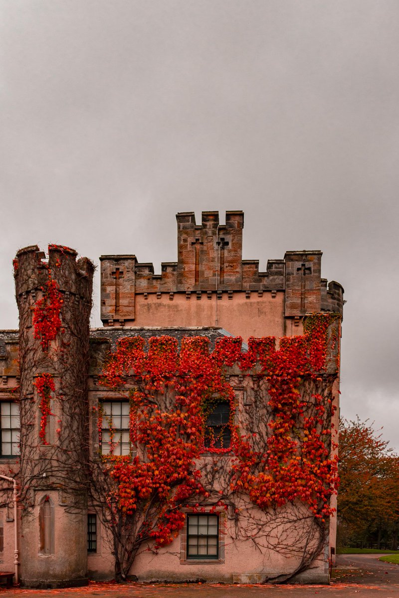 The Walls Run Red - the legend of Bluidy Tam lives on as Autumnal colours turn the walls of the House of the Binns blood red #scotspirit #scotland_ig #Scotland  #nts #nationaltrustscotland #visitscotland #linlithgow #canonuk #canon90d @N_T_S @VisitScotland @LinlithgowVisit