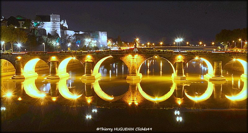 Cliches49's tweet photo. Les anses du pont de Verdun, en pleines écourues,de nuit!
#Angers #pontdeverdun #Angersbynight #LaMaine https://t.co/Vc4MkobWHT