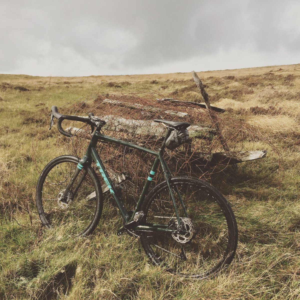 Crys Melyn Cycling tweet media