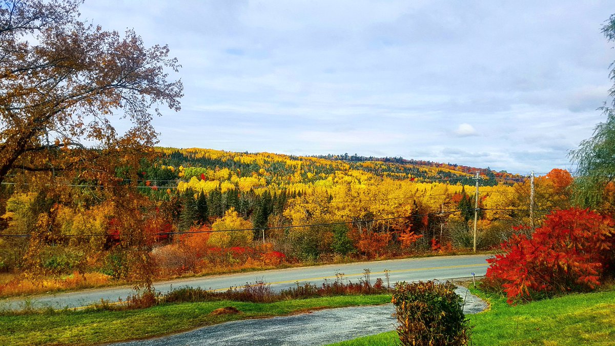 tweetartt's tweet photo. The thanksgiving view from our front deck. My favourite time of year for landscapes :) #nbfall #autumn #fallcolours #autumnleaves #landscapephotography #thanksgiving2019 #explorenb https://t.co/bduI6uQ7iI