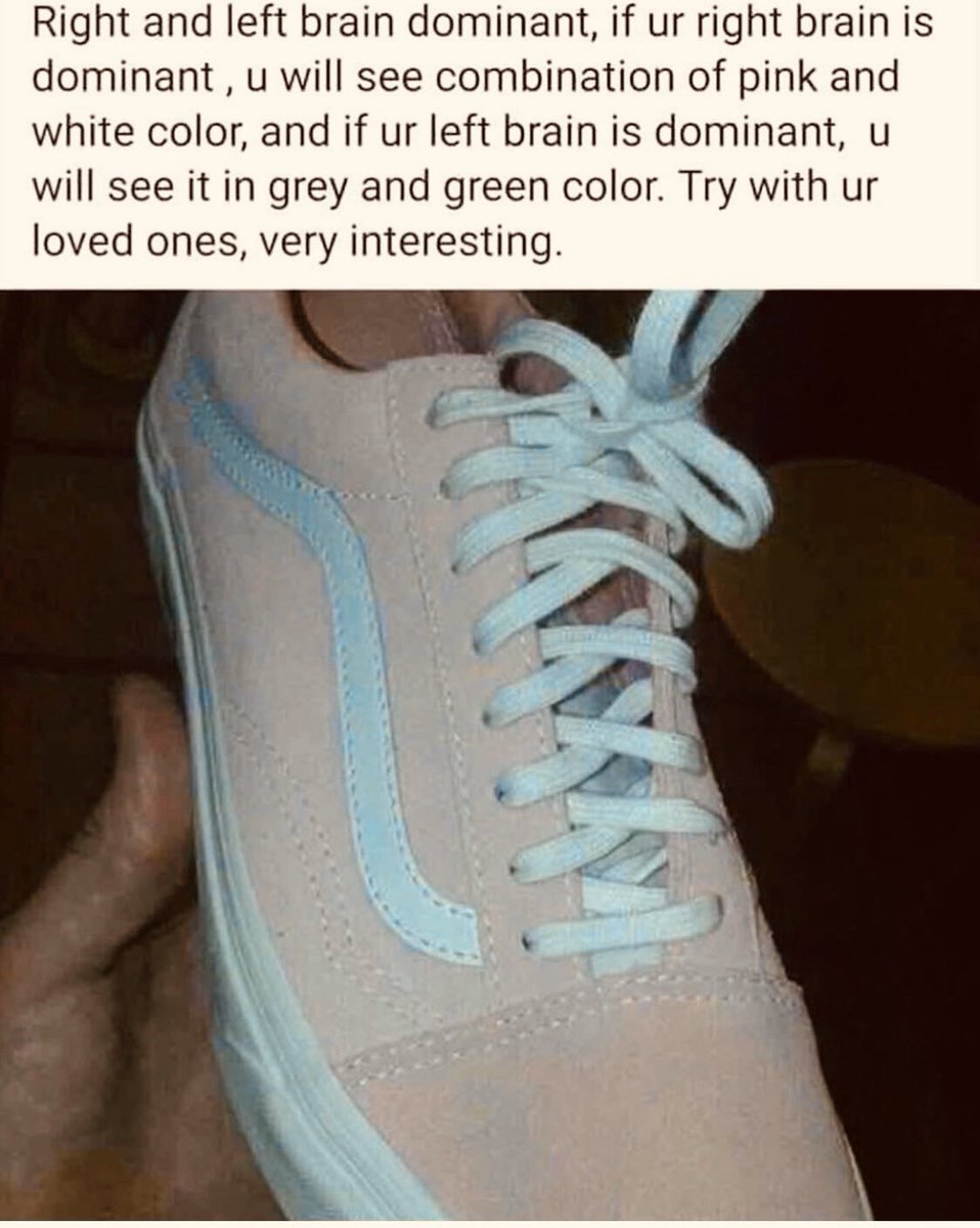 Jordan Raskopoulos tweet media