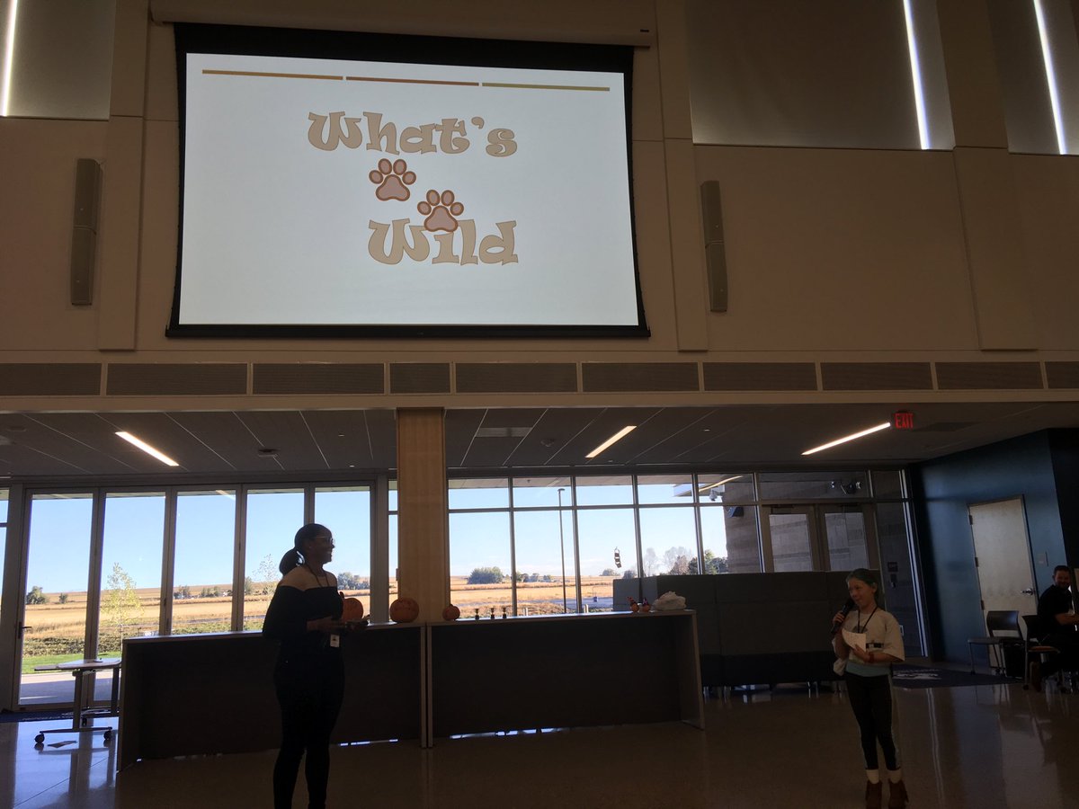 So proud of the What’s Wild team for their work ⁦<a href="/sweduCO/">SWEDU Colorado</a>⁩.  Kenna is 10 years old and presented in front of our judges with poise and confidence.  Love #StartupWeekend!