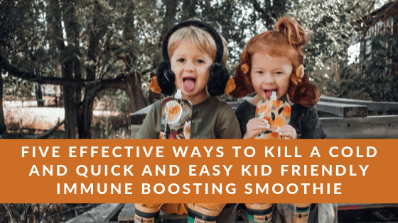 themamaplaybook's tweet photo. Five Effective Ways to Kill a Cold and Quick and Easy Kid Friendly Immune Boosting Smoothie https://t.co/zathy3tN4b https://t.co/aq7A4leRkI