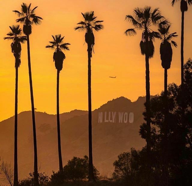 helloworldnz's tweet photo. See that tiny little plane? Well, that could be you! Our global sale is on now✈️ Link in bio 🌍 https://t.co/aQl33vLepa https://t.co/3PUswsTmDE