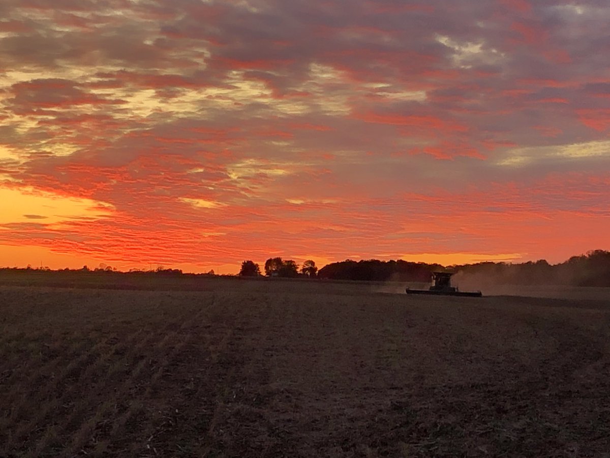 thebett1's tweet image. Not much to say but WOW