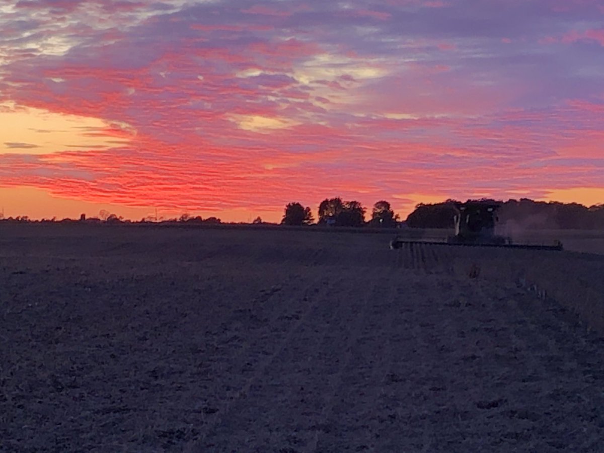 thebett1's tweet image. Maybe even better