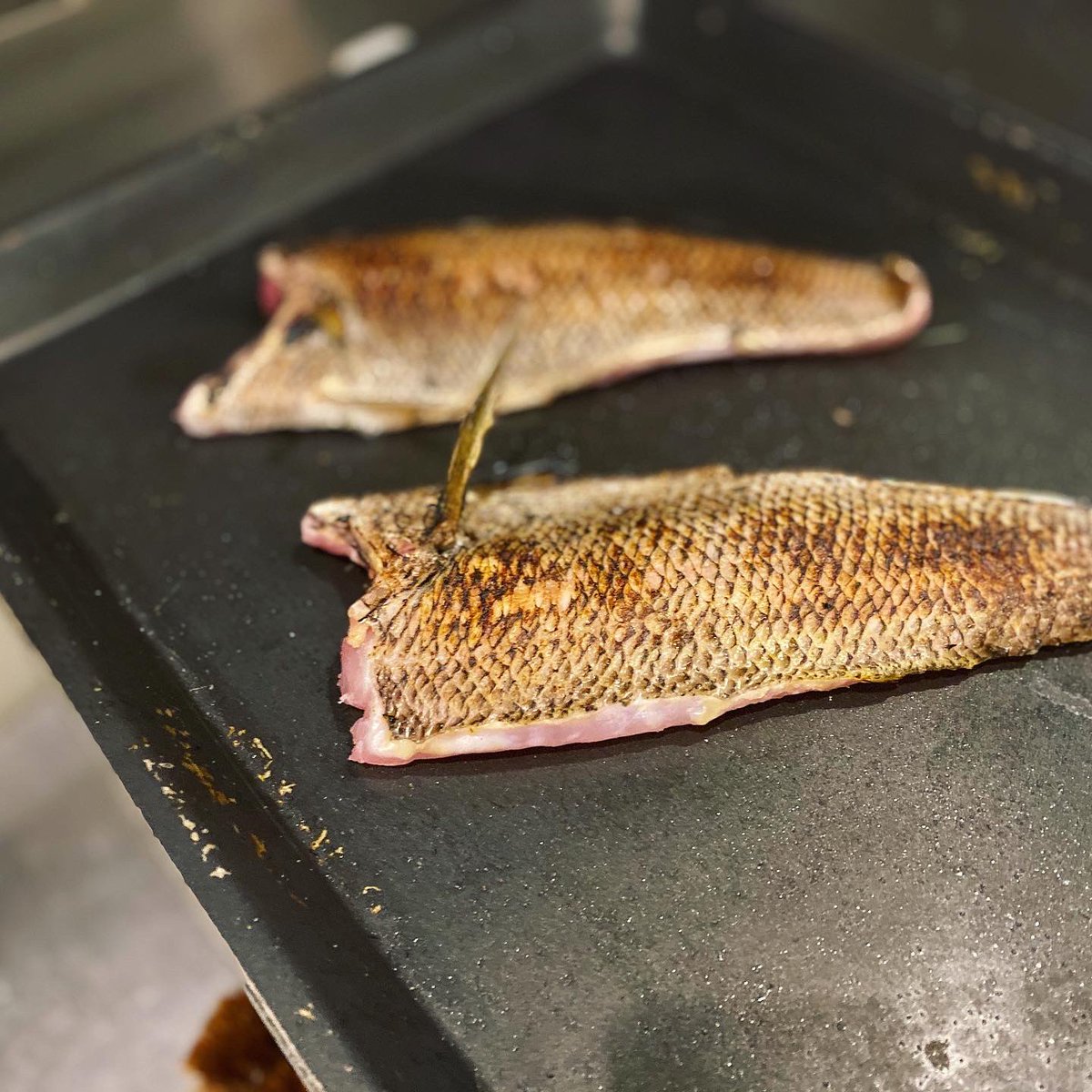 田中ケン ケンズキッチン V Twitter 先週熟成した黒ムツの炙り 刺身 刺身盛り合わせ 魚 刺身盛り 刺身定食 刺身盛合せ お造り お刺身 ごはん 手作り 和食ごはん 手作り料理 和食 和食ごはん 日本料理 寿司 鮨 Sushi Sushi Sashimi 釣り