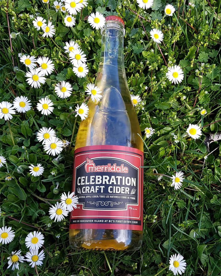 Everyone’s got a friend who is known for bringing the most delicious, interesting bottle of something special to the dinner party. This Thanksgiving, be that person. 

Celebration Cider is a champagne-style craft cider with a dry, effervescent finish. 🥂

#MerridaleMakes