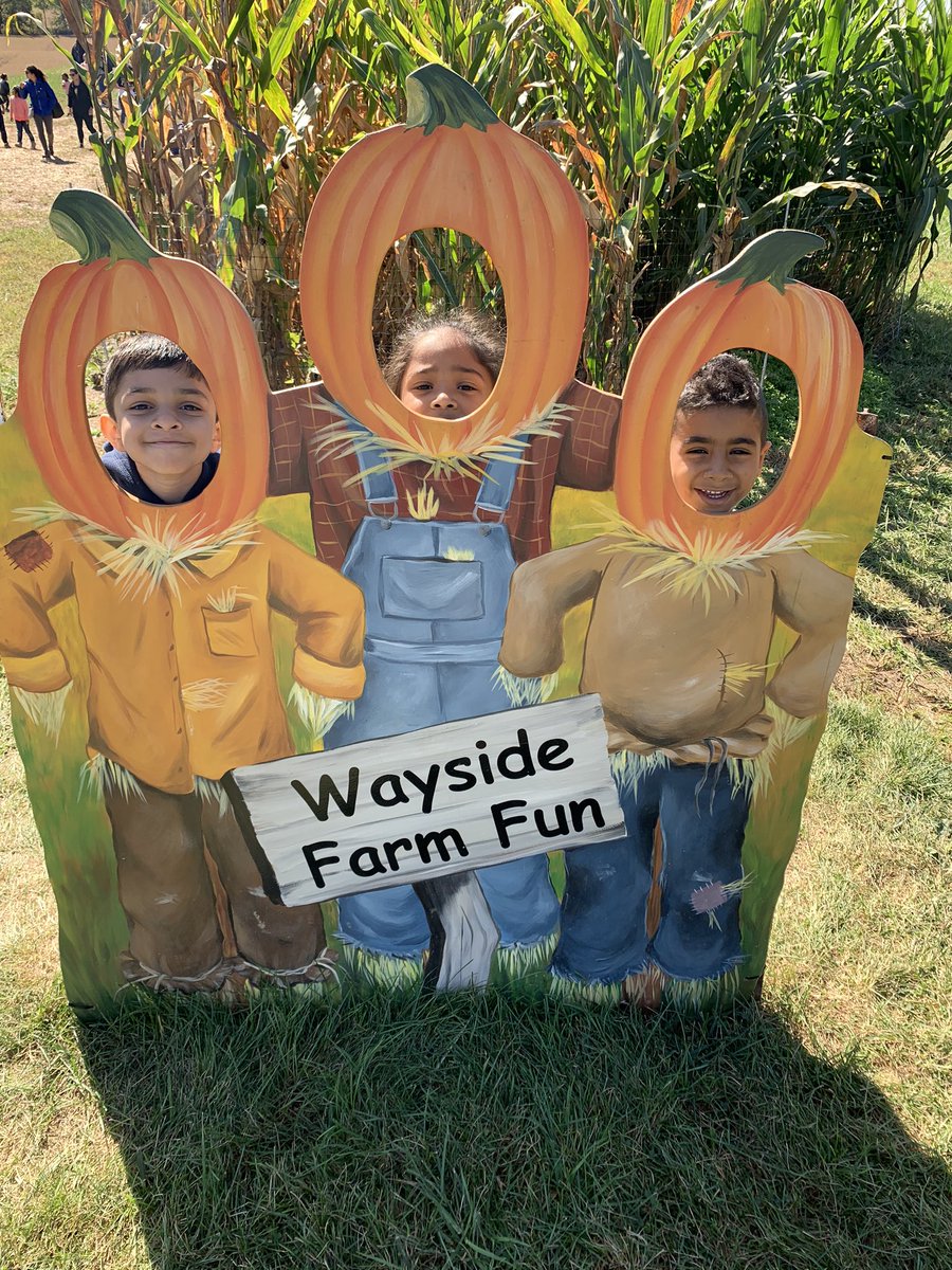 Mr. McConnell's Coyotes tweet media