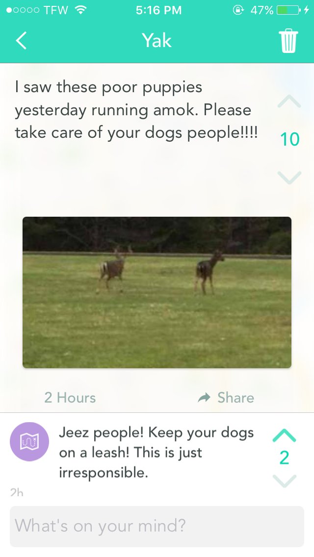 #yikyak