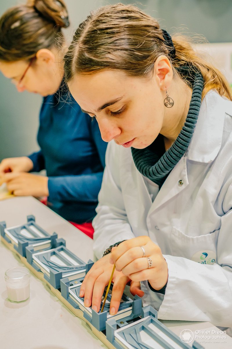 Olivier DREAN tweet media