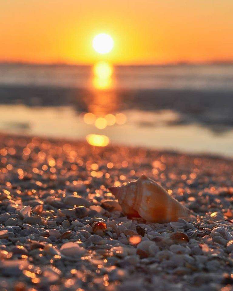 اللهم  أياماً لا يمسّنا فيها سوء 
مـحمّلة بالفرح 
و البــــشارات الجميلة.