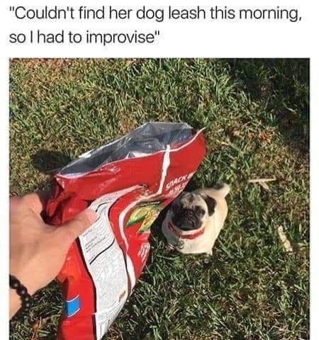 TXKAnimal's tweet photo. Do what you need to do!  #happysunday https://t.co/xBvnkA4Ill