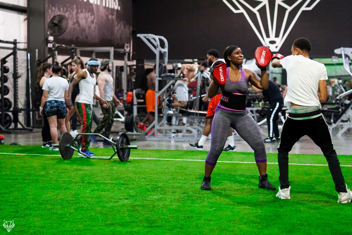 Alpha Training tweet media