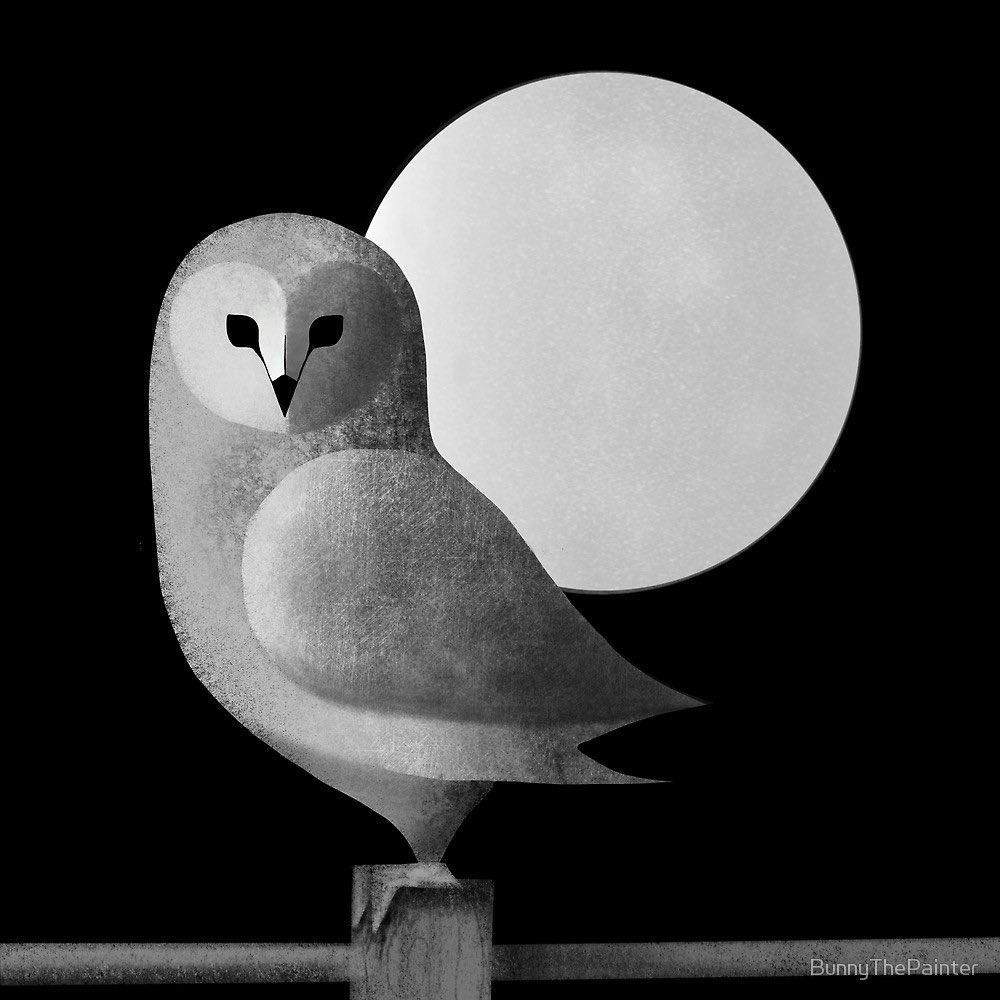 Good work for October! Barn Owl Full Moon 
society6.com/product/barn-o… #owl #barnowl #october #inktober #fullmoon