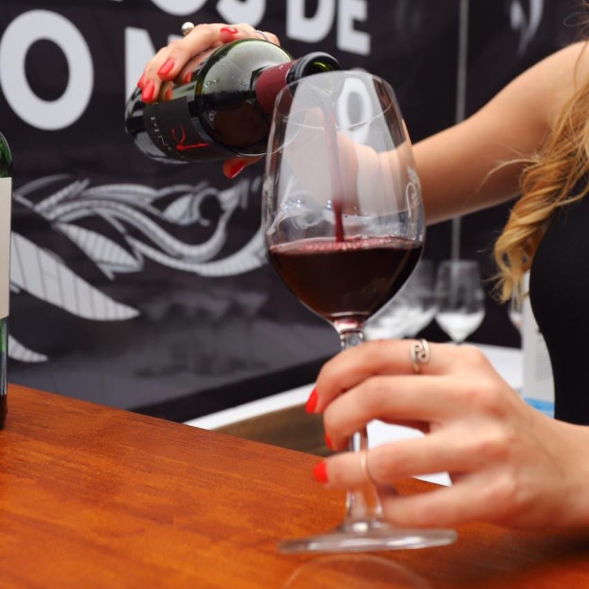 Bariloche_ar's tweet photo. Bariloche a la Carta 2019 merece un brindis. Vení a disfrutar de un buen Malbec😋👏. #Bariloche #BALC2019 https://t.co/MeYkjfEANI