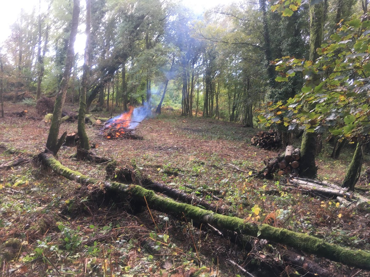 Patrick Lloyd tweet media