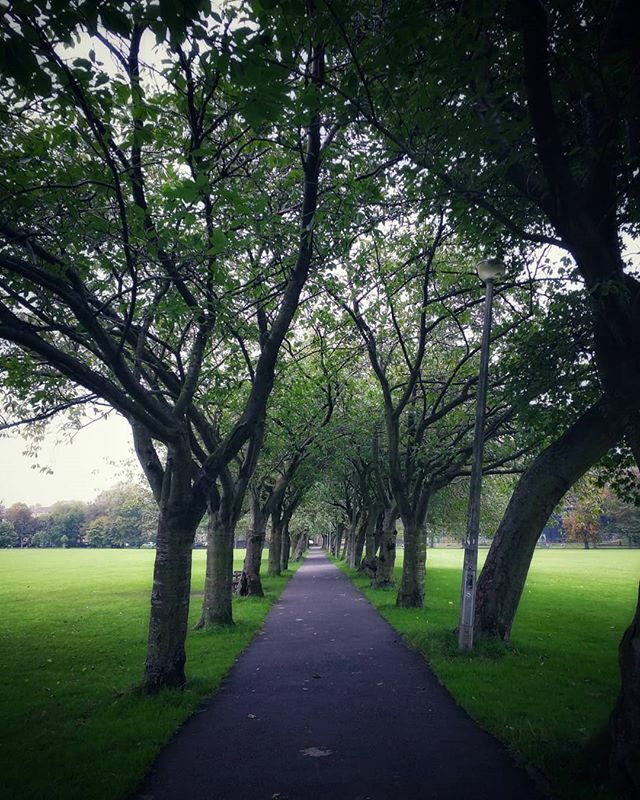 Walk through the Meadows

#edinburgh 
#meadows
#awalkinthepark 
#cityimpressions ift.tt/2MaQklu