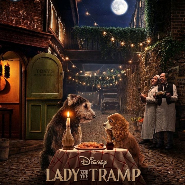 SherlinDavid2's tweet photo. Disney Lady nD Tramp 😍 https://t.co/SaS5JXjkpr