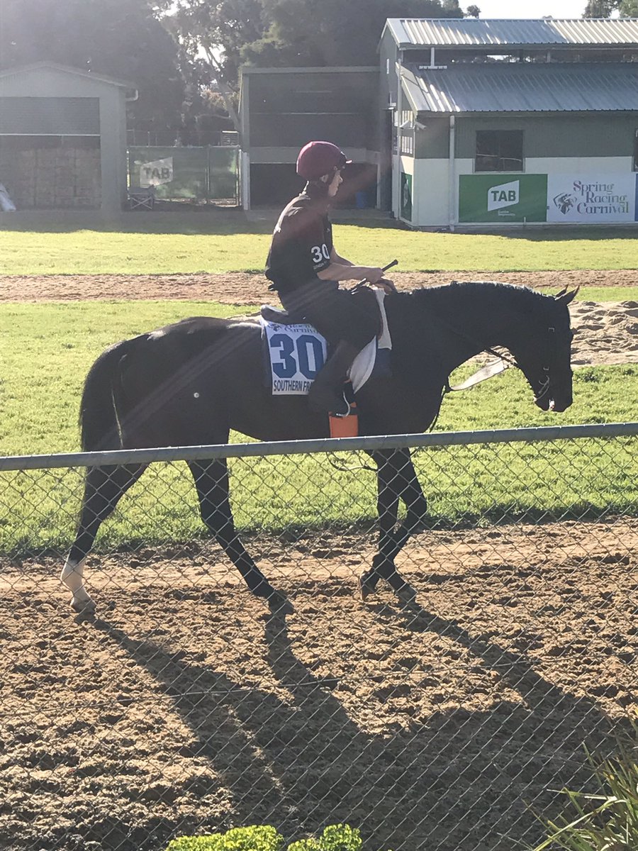 ATBloodstock's tweet photo. Welcome to Australia Southern France. Impressive individual @cmaherracing @FlemingtonVRC @RacingPost @TomMagnier #MelbourneCup https://t.co/mOiokvQomt