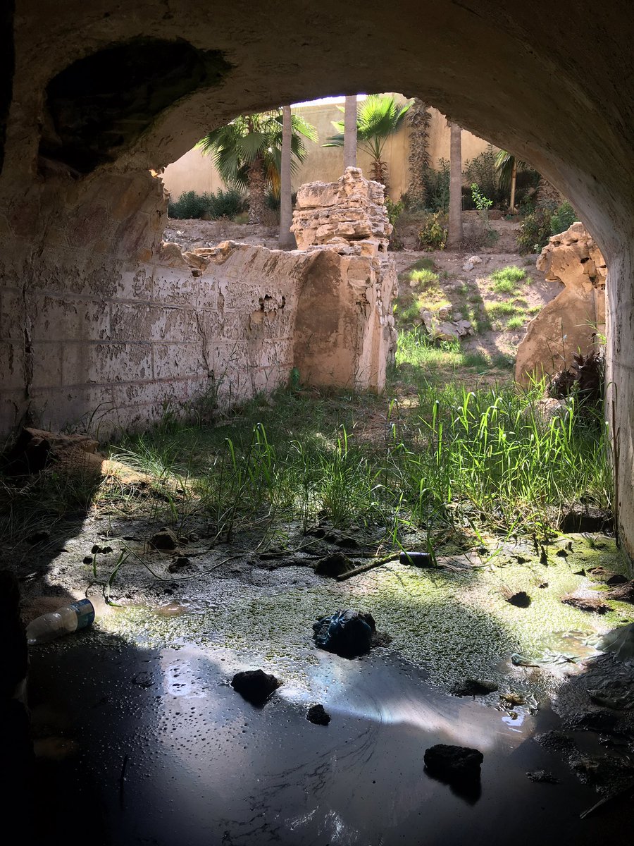 chrisnaunton's tweet photo. Quick reccy of the Hellenistic/Egyptian tombs of Anfushy (3rd cen BCE) in Alexandria yesterday... #egypt #egyptology #missingtombs #losttombsofegypt https://t.co/WrRFlD6own