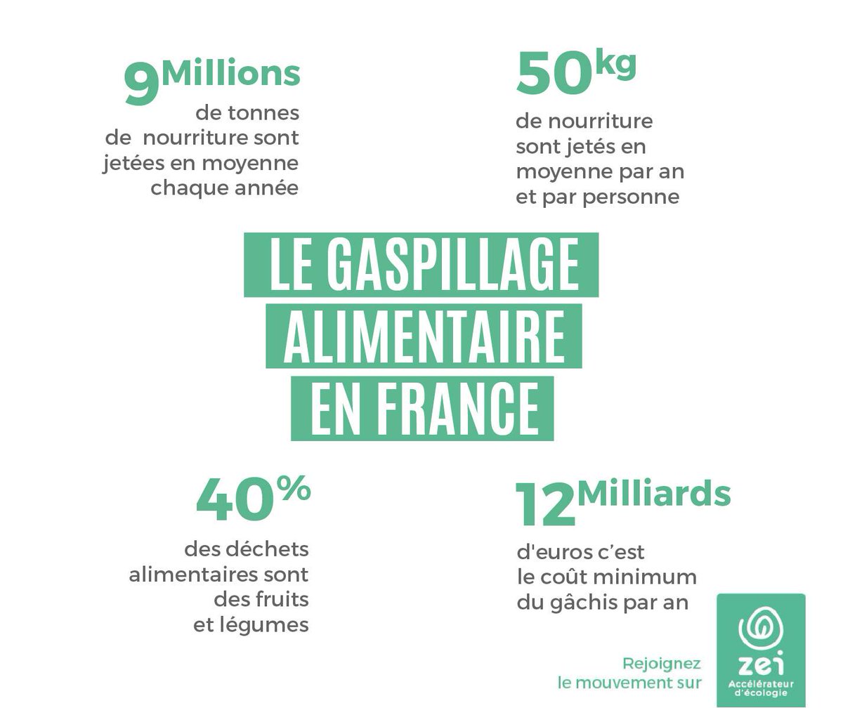 Zei_world's tweet photo. INFOGRAPHIE 

Le 16 octobre, est la journée mondiale de l’alimentation ! Au cours de la semaine, nous allons donc vous parler de différents sujets axés sur l’alimentation.
Pour commencer, voici une infographie pour prendre conscience du gaspillage alimentaire en France... https://t.co/zuRS5eQxPR
