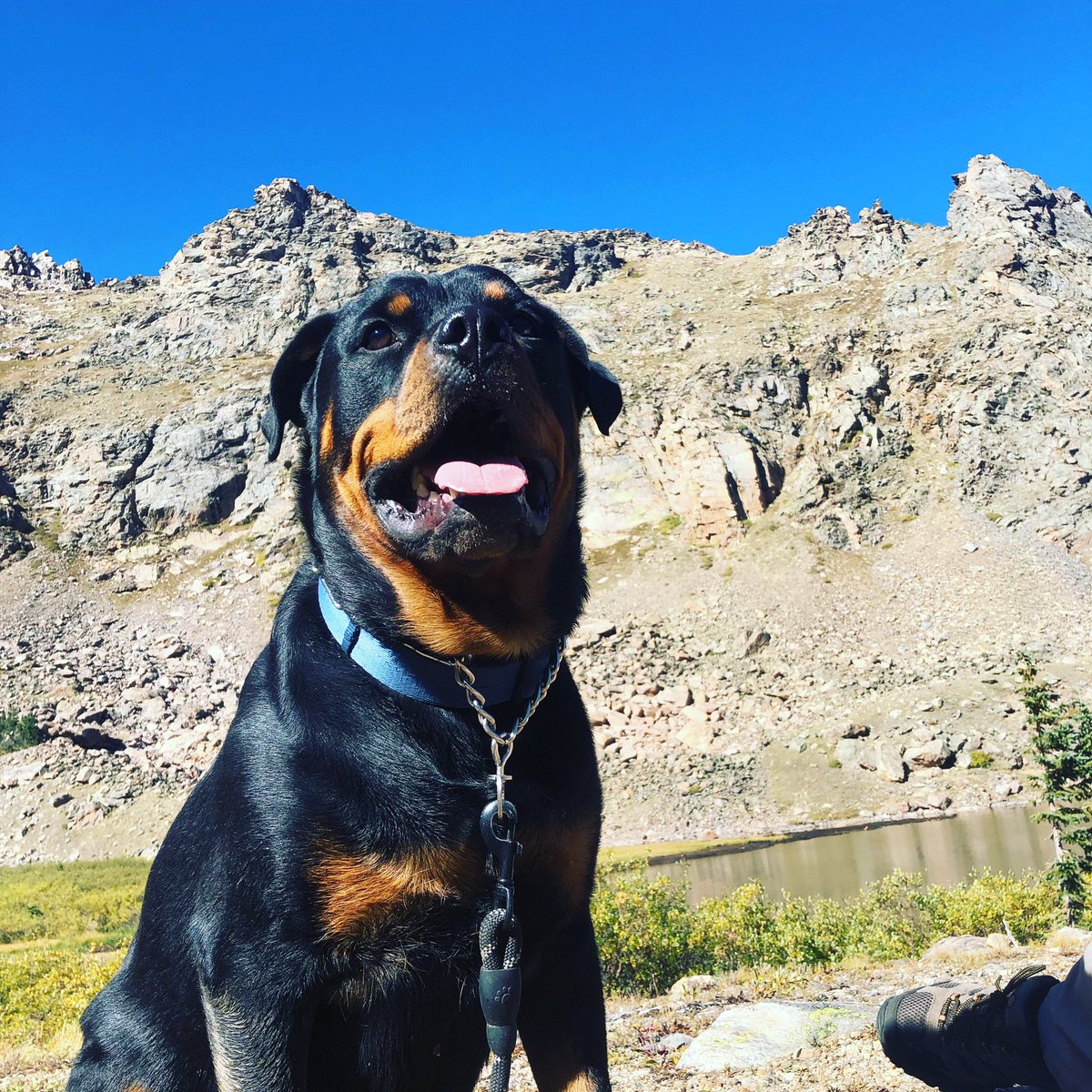 eric5280's tweet image. Hiking