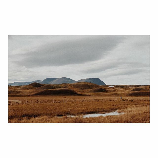 dillanhayes's tweet photo. Húnavatnshreppur .
.
.
.
.
#roam #wanderout #landscape #traveler #visualsofearth #iphone11promax #iceland #icelandic #ringroad #westiceland #exploreiceland #visualsofearth #ourplanetdaily #gameoftones #optoutside #oldtonecollective #outdoortones #neverst… https://t.co/S4oTYcjPdZ https://t.co/VFfx7fyhYk