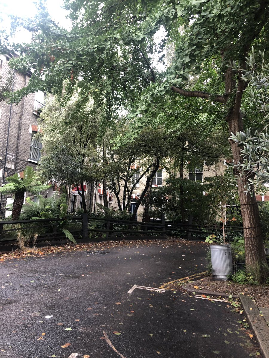 EKarimnia's tweet photo. Found amazing signs of hope today at #Vauxhall:
@ExtinctionR calm protest
Warm and cozy corner café
@ItaloDeli
Walking through #Bonningtonsquare and enjoying the artistic, green, and progressive neighborhood #London https://t.co/YrZ0KTzGls