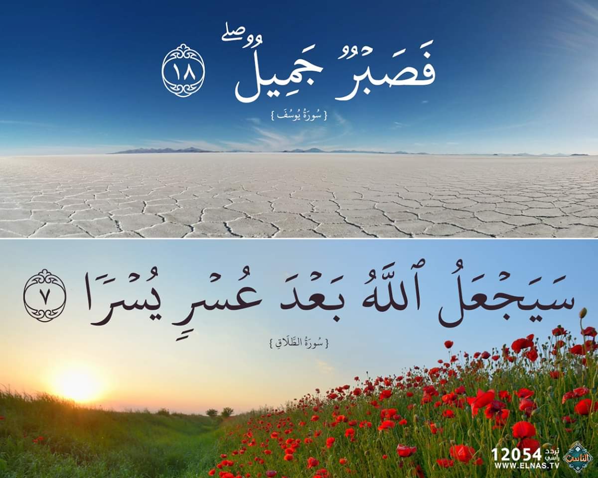 dahdoma_adham's tweet photo. #السيسي_عري_مصر https://t.co/653wOdCViE