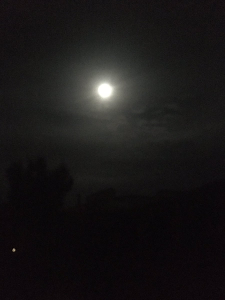 FiddlingFire's tweet photo. So we go outside to enjoy the full hunters moon and find these in the garden. Time to roast! 🌕🌶🔥#harvest2019 #fiddlingwithfire #FullHuntersMoon #oldfarmersalmanac https://t.co/nBNoJkSMD1