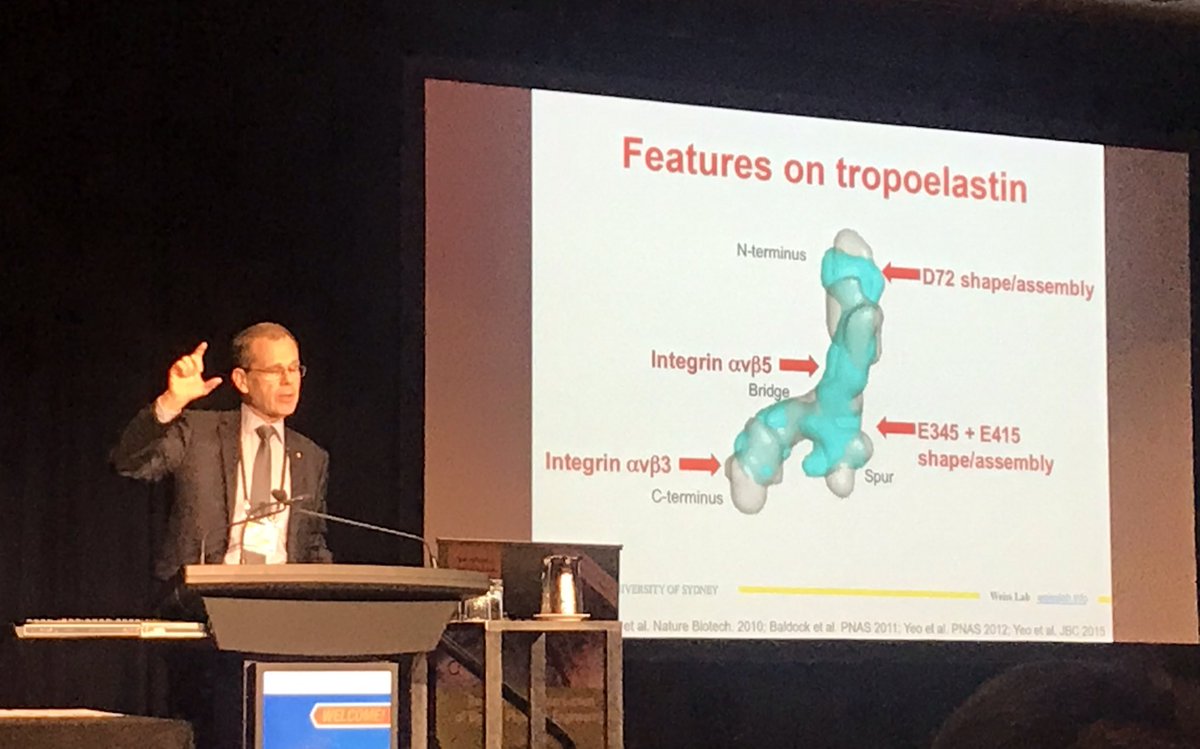 katie_sizeland's tweet photo. Prof Tony Weiss with a Plenary on Synthetic Elastic Biomaterials #termisabmc - from #tropoelastin assembly to engineering elastic biomaterials. Very 1st talk of @ApTermis & my favorite technique is in the spotlight!! Tropocollagen revealled using synchrotron based #SAXS!! ๐๐ซ๐ค https://t.co/Wpi9PUjrWb
