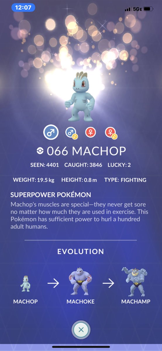 mhalten23's tweet photo. ISNT SHE LOVELY ??? #2 ! Been going hard for these #philly #rocky #machops! #2 ... Spoofers are crap. Try a real grind https://t.co/LUOd6IsVjj