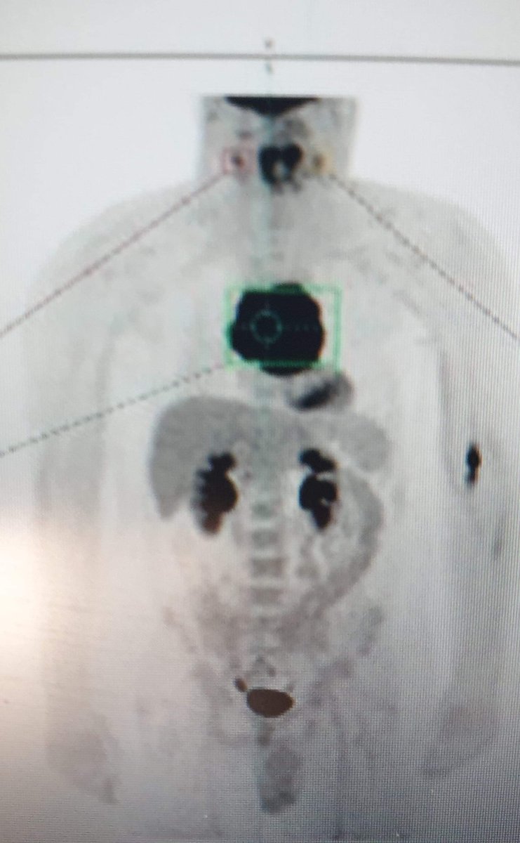 HealthDigital tweet media