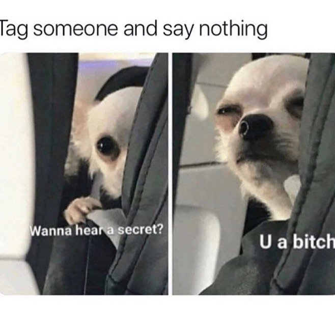 Dermon Cunningham tweet media