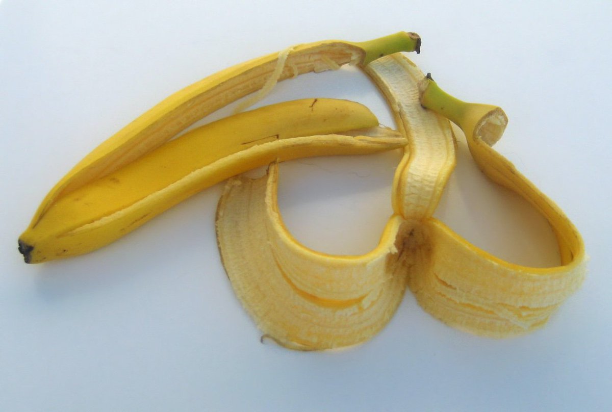 A banana peel. By Priwo on Wikimedia Commons.