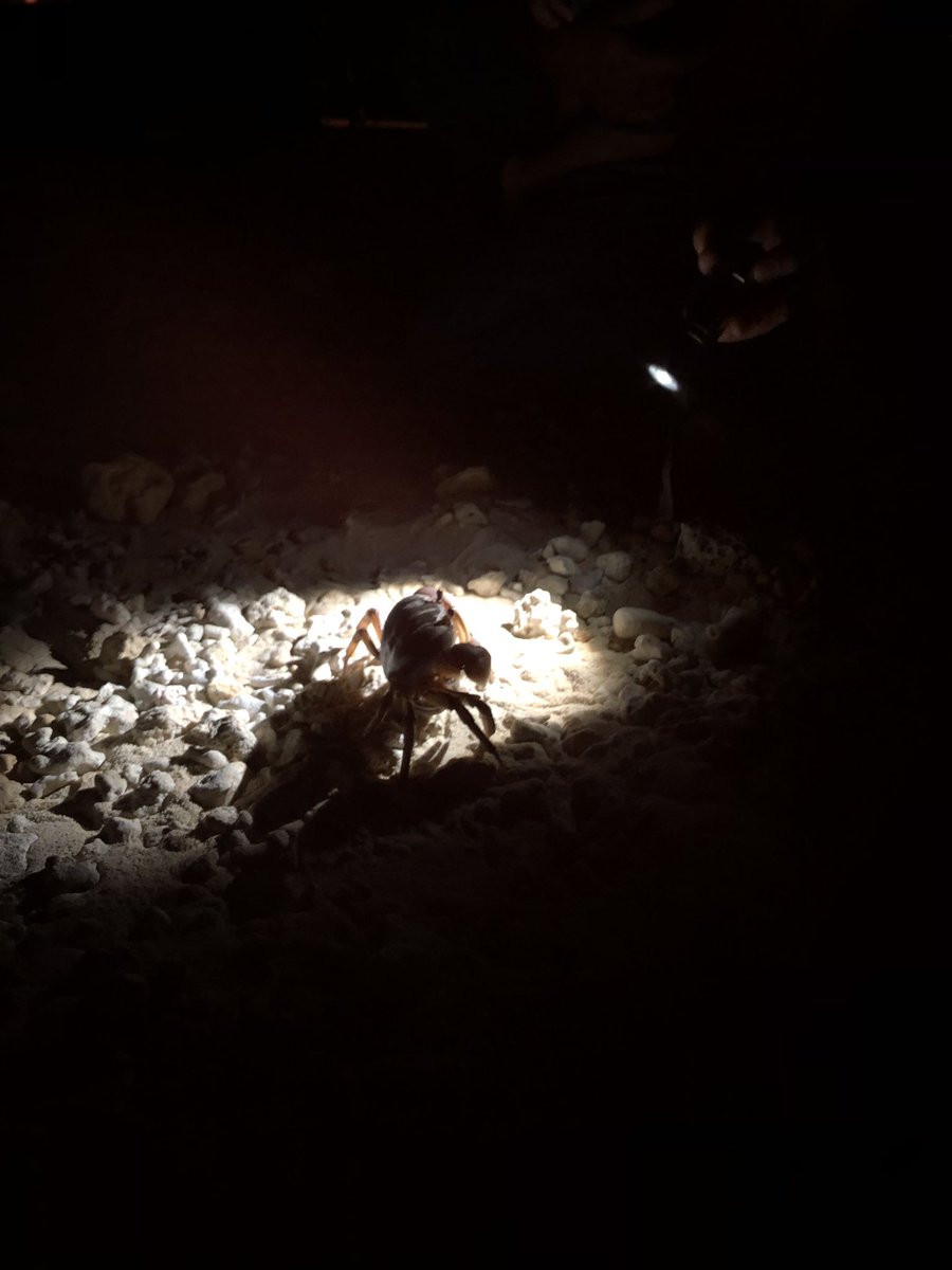 なりやまあやぐ