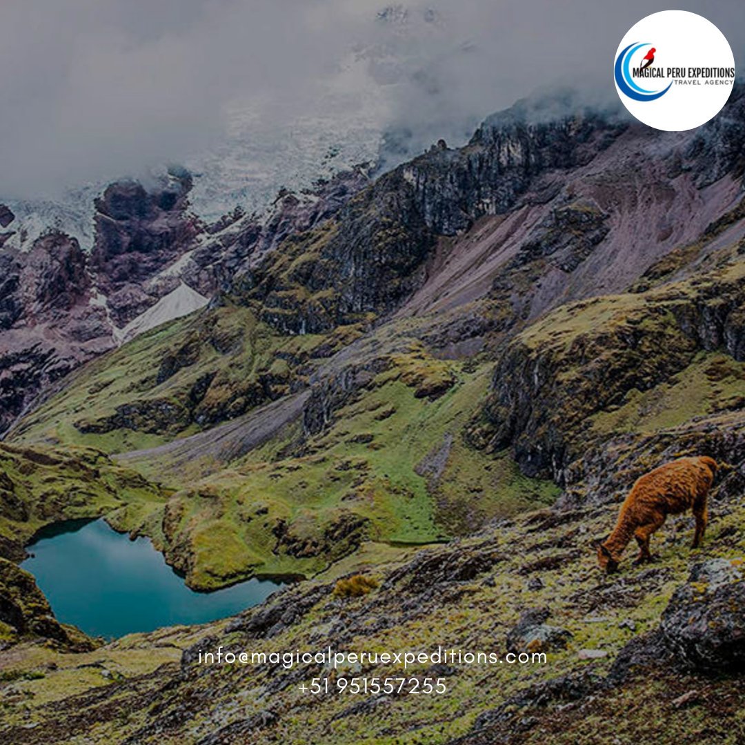 MagicalPeru's tweet photo. Conoce lugares exclusivos y únicos de mayor demanda turística ;) <3 ¡Reserva tus pasajes en Magical Peru Expeditions!
Vive una experiencia inolvidable y no dejes que te lo cuenten
https://t.co/EhAgHt3pIr
#MagicalPeruExpeditions #AtractivosTuristicos #Viajeros #ReservaYa #Explora https://t.co/yuiUTo4v6I