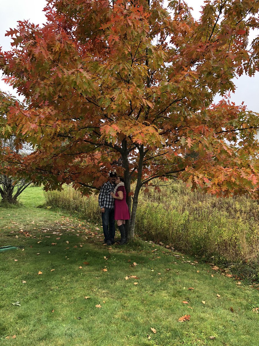 juljo06's tweet photo. So glad I get to kiss you forever!!! Thankful!!!!! https://t.co/Lq3urs0akX