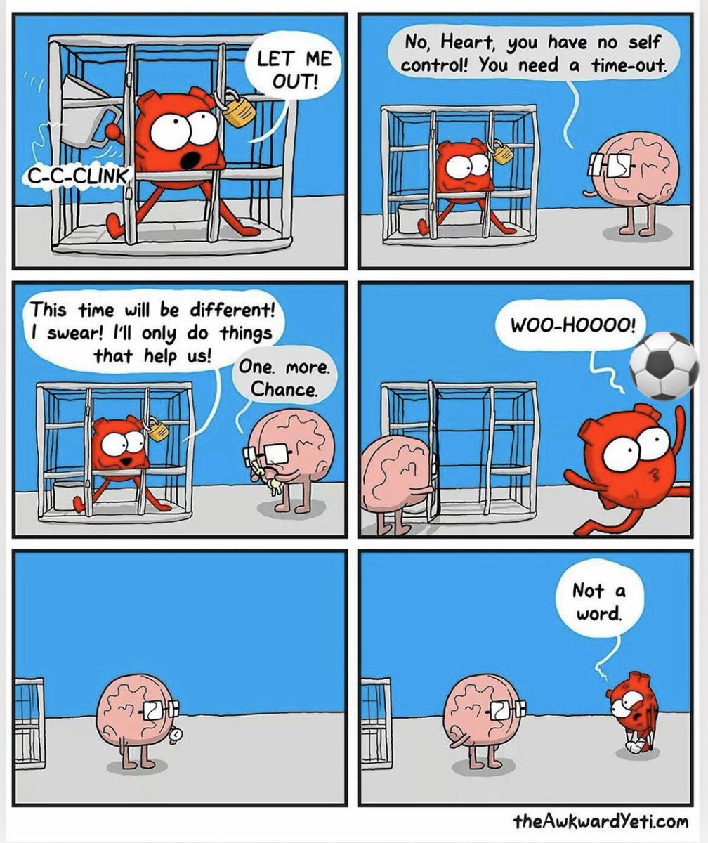 Christine Cupo tweet media