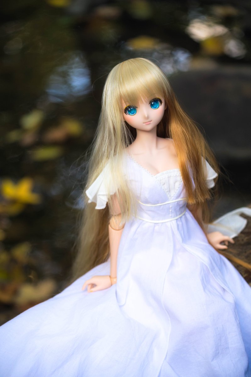 rensuchan's tweet photo. 久々にツイッターで写真を載せる…

#うちのこかわいい https://t.co/sbsTfIEuNr