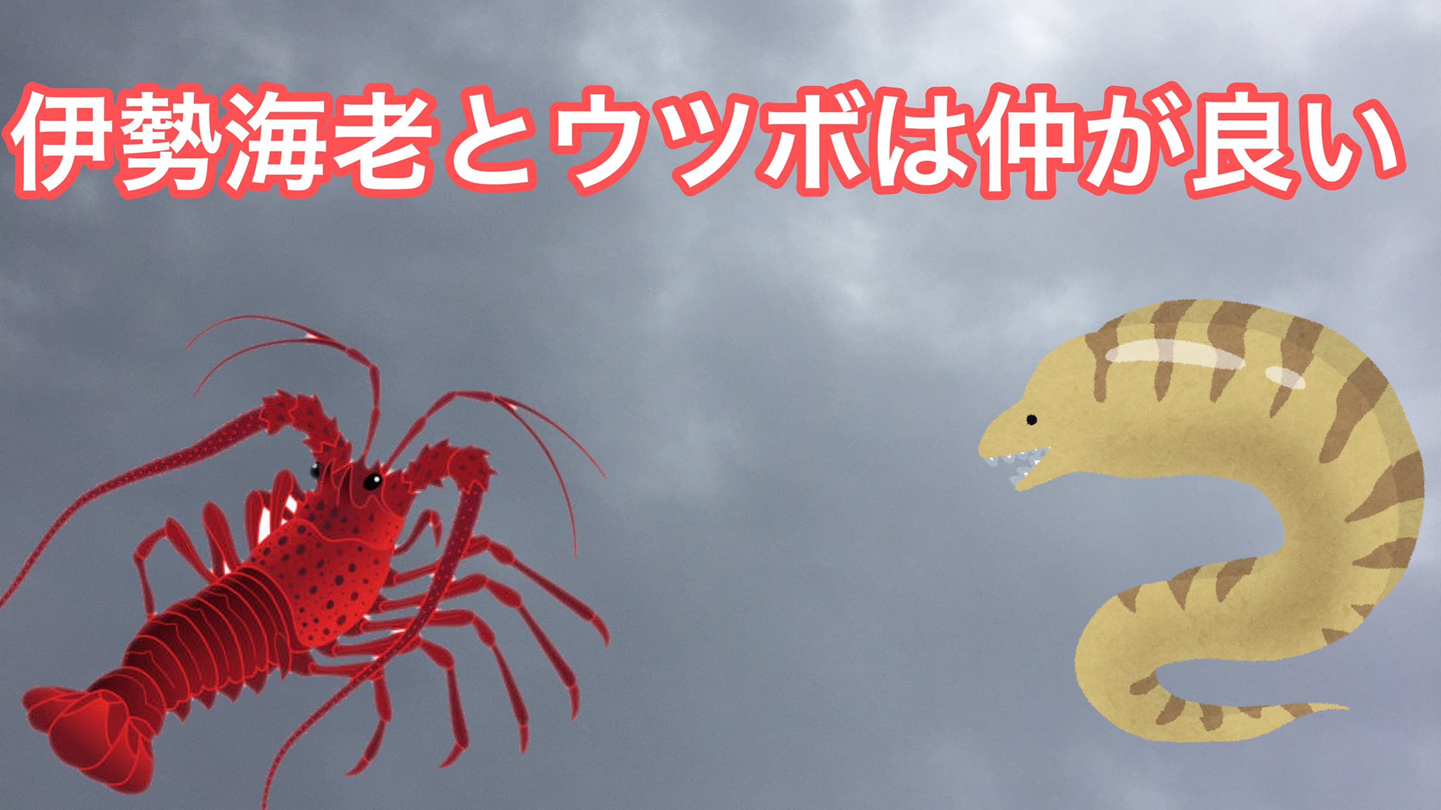 ট ইট র 幸田りん 心理士の悩み相談 おはようございます 乾燥のせいかススキ花粉のせいか 目のかゆみがひどいので 目薬を買ってこようと思います 本日もよろしくお願いします おはよう戦隊1014 げつようび 伊勢海老は10月から旬でありウツボと共生